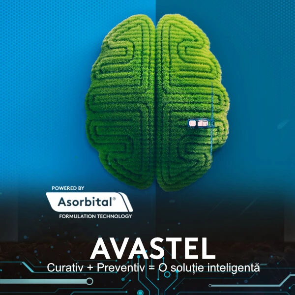 Avastel