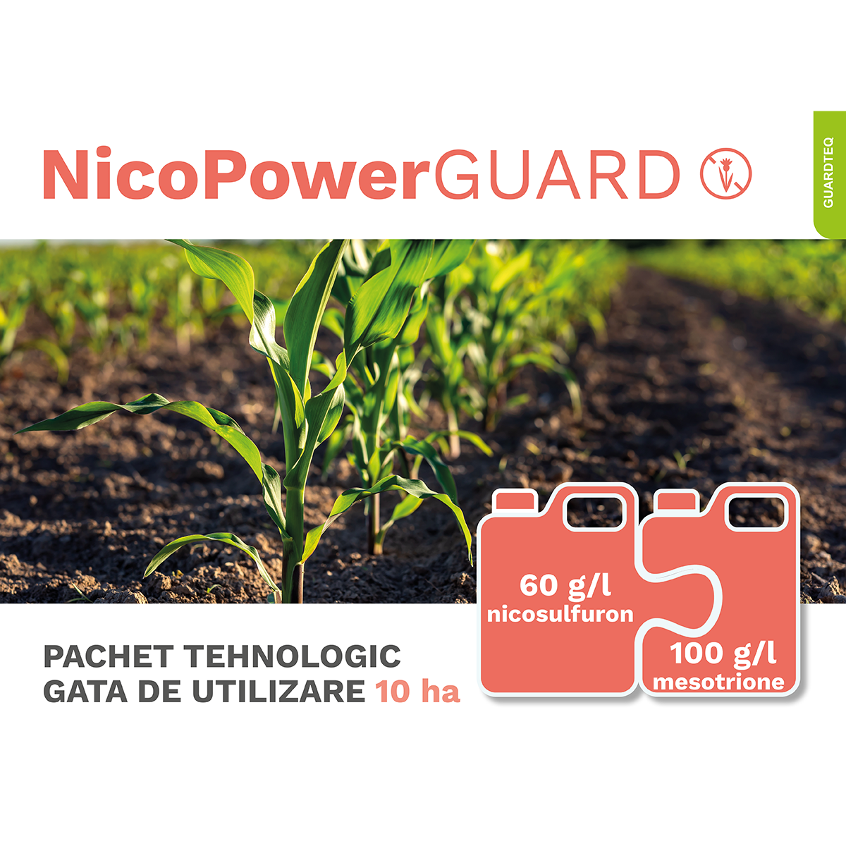 NicoPowerGUARD