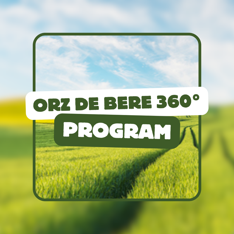 ORZ DE BERE 360°