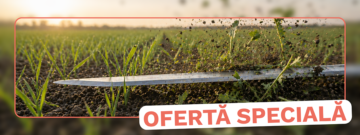 Oferte speciale