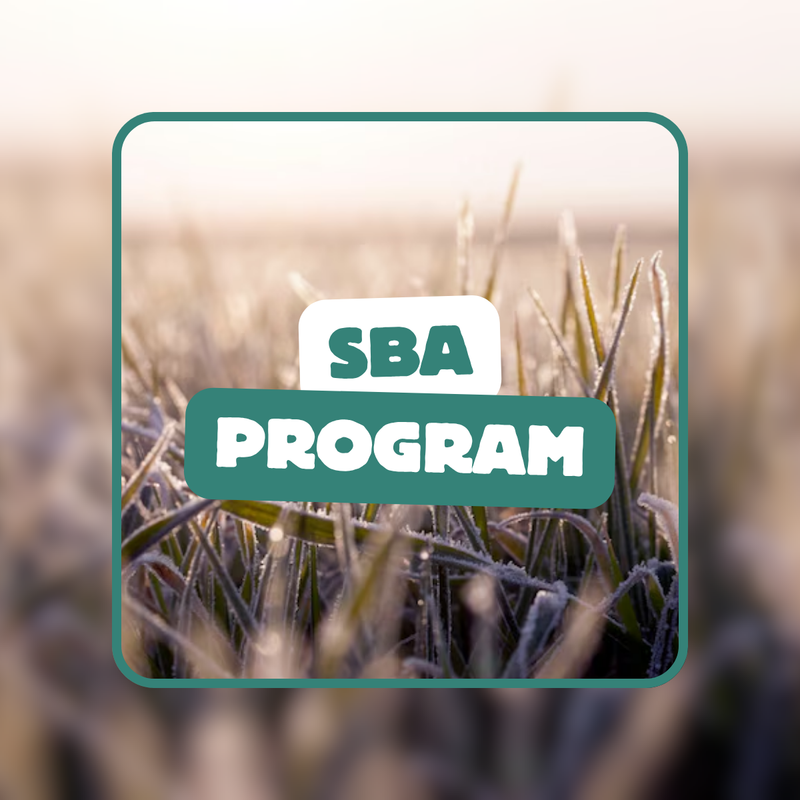 SBA (orz de primăvară semănat toamna)